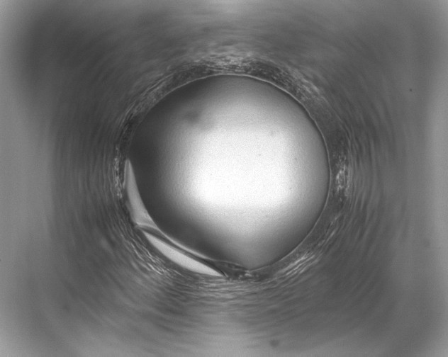 X0000067831156200605041616