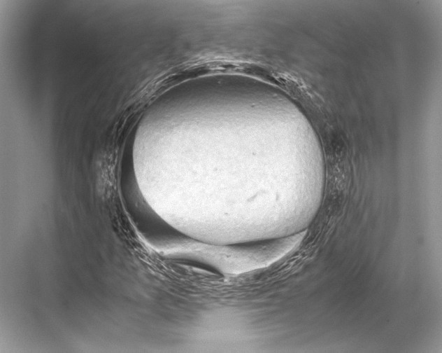 X0000067831157200605041616