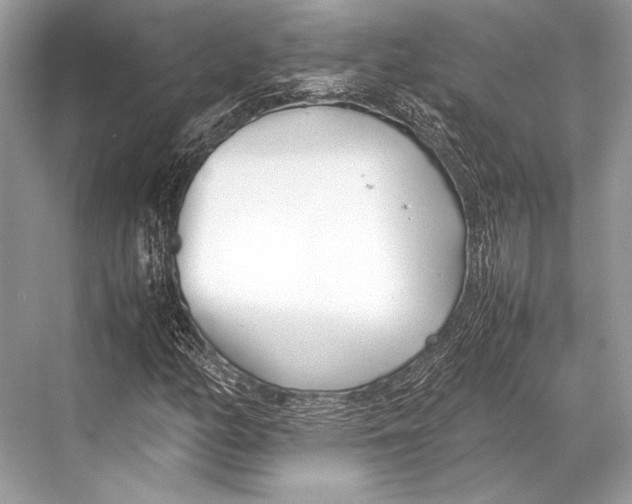 X0000067831158200605041616