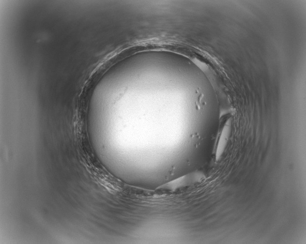 X0000067831160200605041616