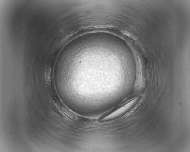 X0000067831161200605041616