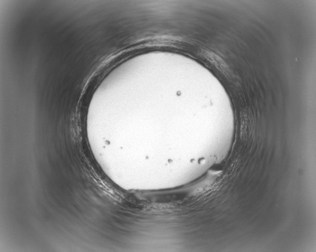 X0000067831164200605041616