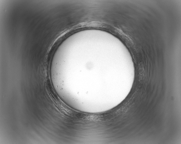 X0000067831166200605041616