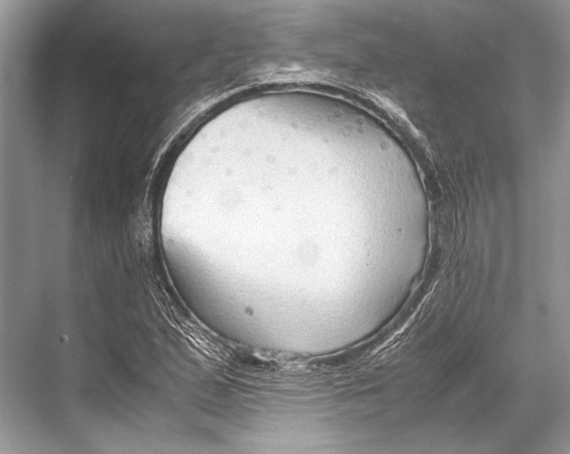 X0000067831167200605041616