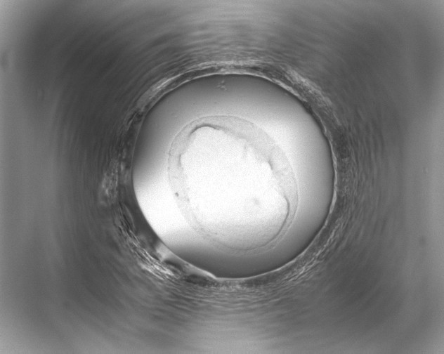 X0000067831169200605041616