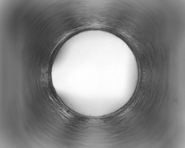 X0000067831170200605041616