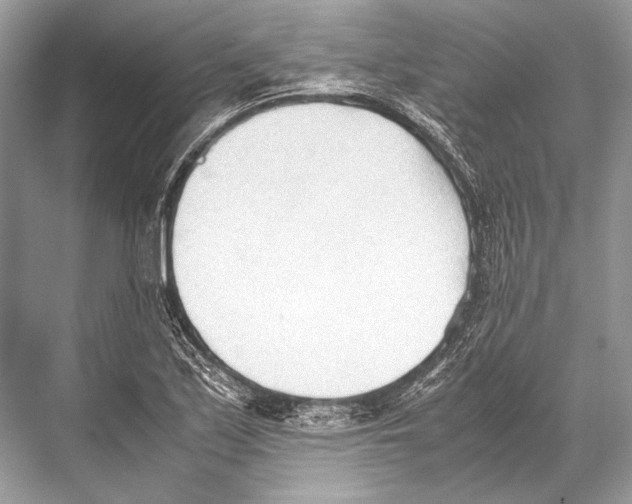 X0000067831171200605041616