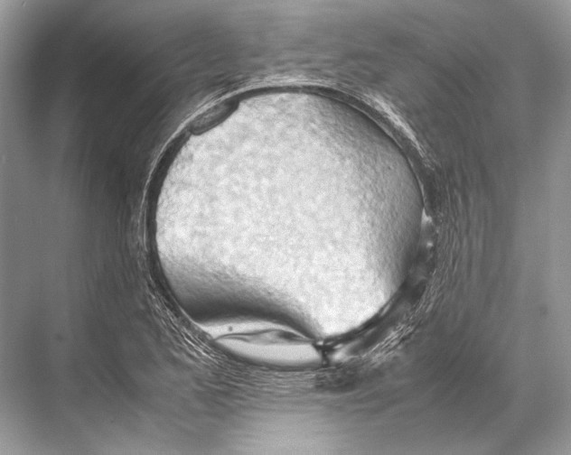 X0000067831173200605041616