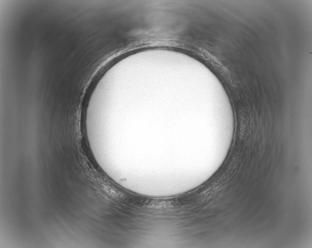 X0000067831174200605041616