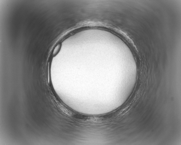 X0000067831175200605041616