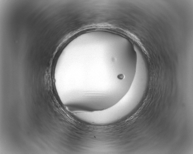 X0000067831176200605041616