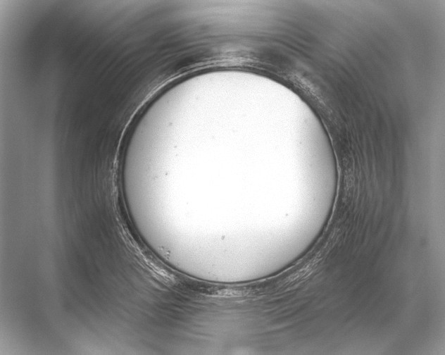 X0000067831178200605041616