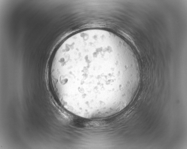 X0000067831179200605041616