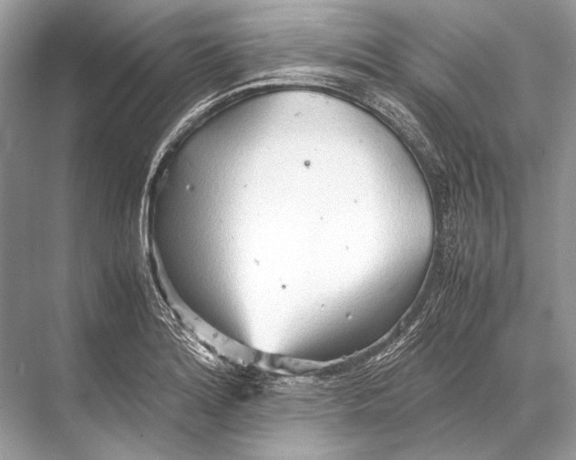 X0000067831180200605041616