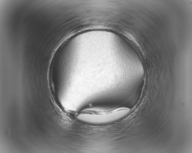 X0000067831181200605041616