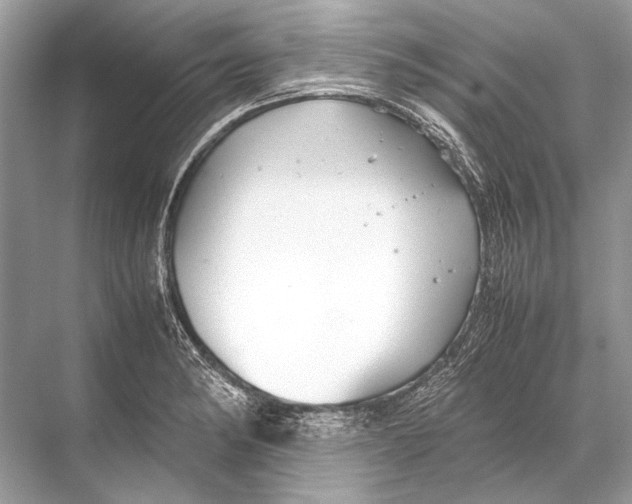 X0000067831182200605041616