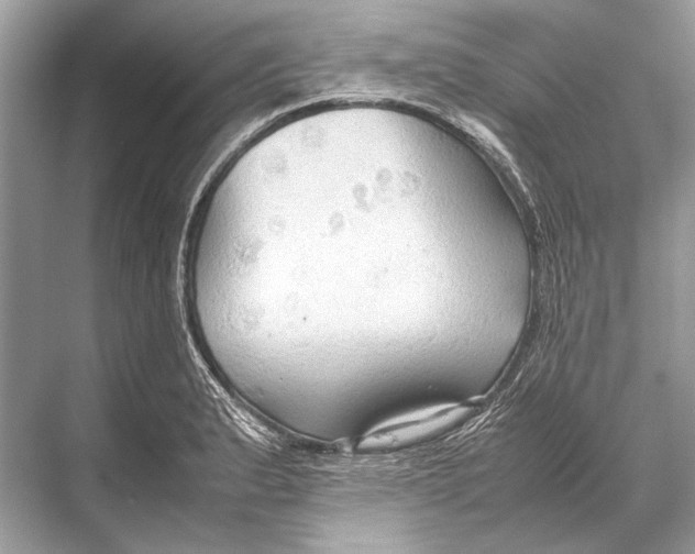 X0000067831183200605041615