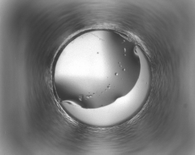 X0000067831184200605041615