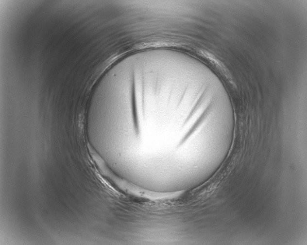 X0000067831185200605041615