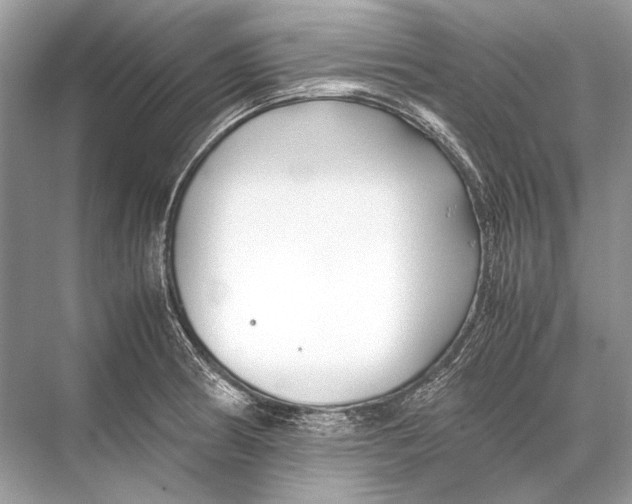 X0000067831186200605041615