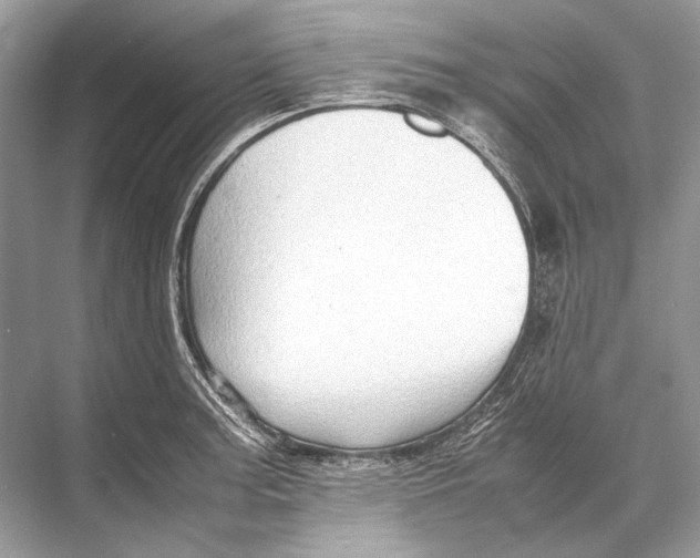 X0000067831187200605041615