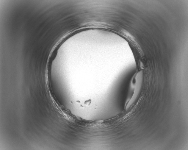 X0000067831188200605041615