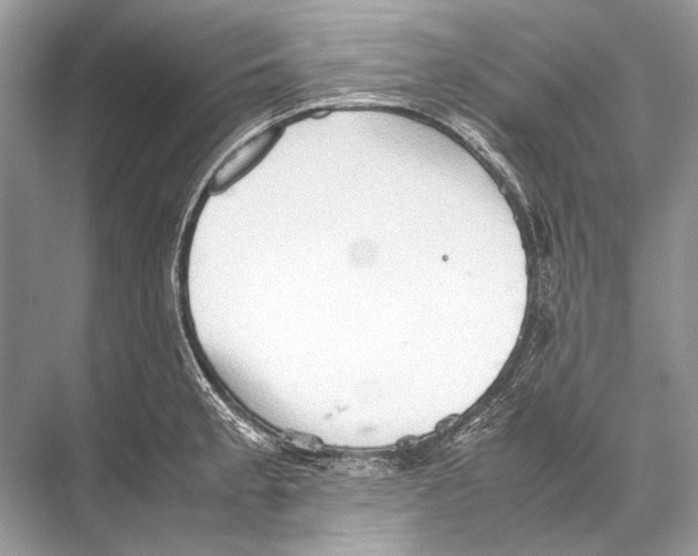 X0000067831189200605041615