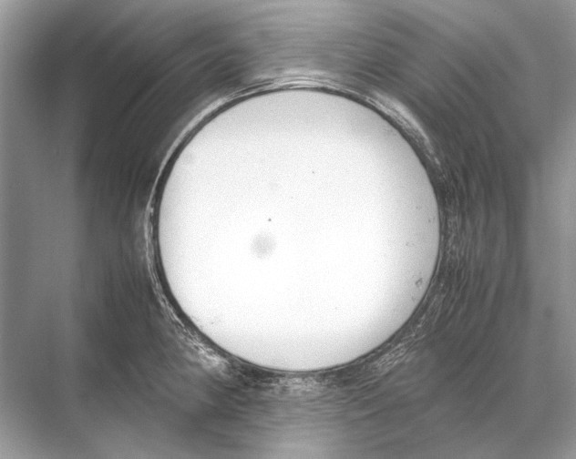 X0000067831190200605041615