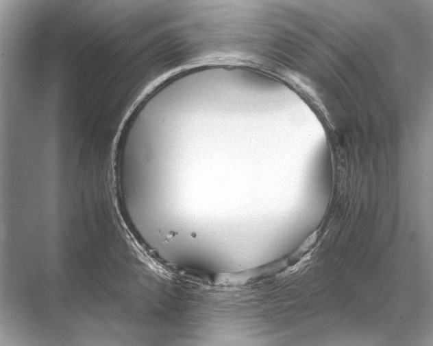 X0000067831192200605041615