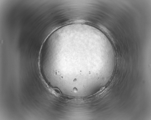 X0000067831194200605041615