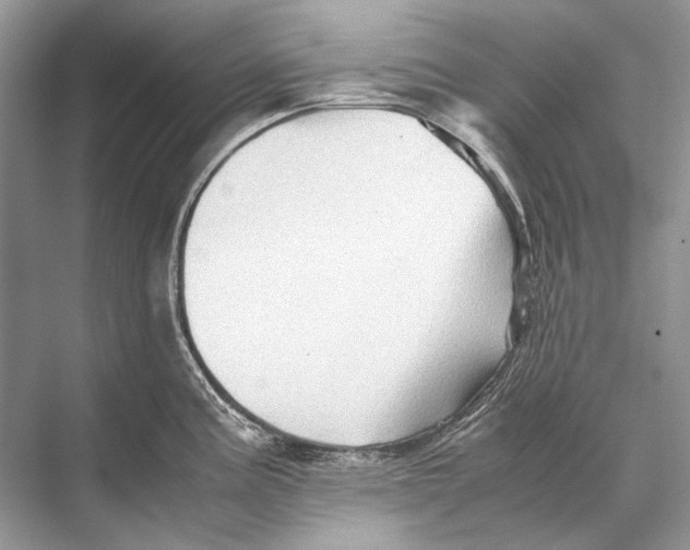 X0000067831195200605041615