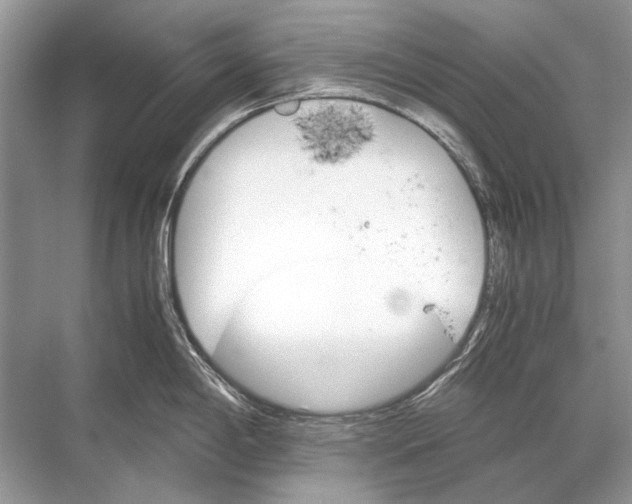 X0000067831198200605041615