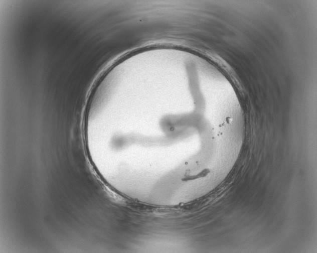 X0000067831199200605041615