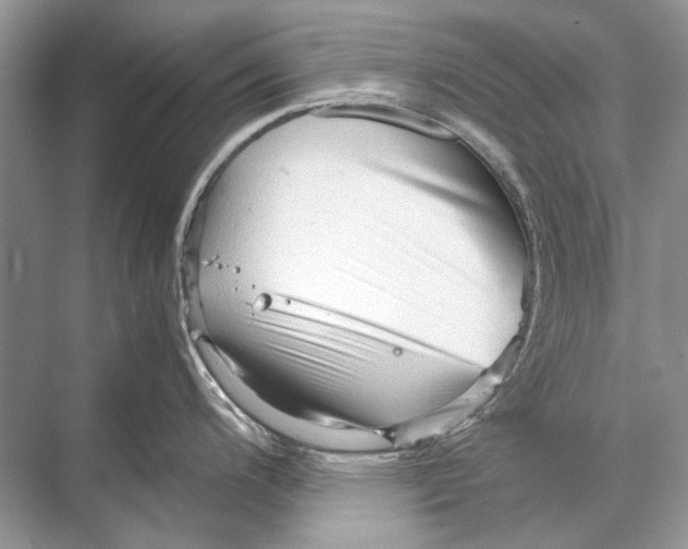 X0000067831200200605041615