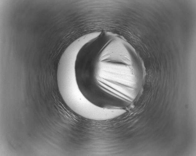 X0000067831202200605041614