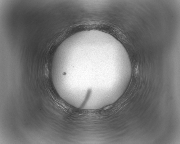 X0000067831204200605041614