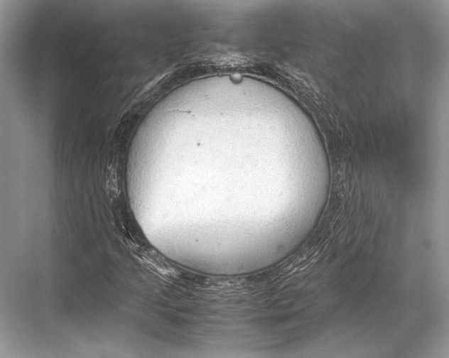 X0000067831205200605041614