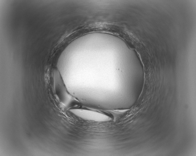 X0000067831206200605041614