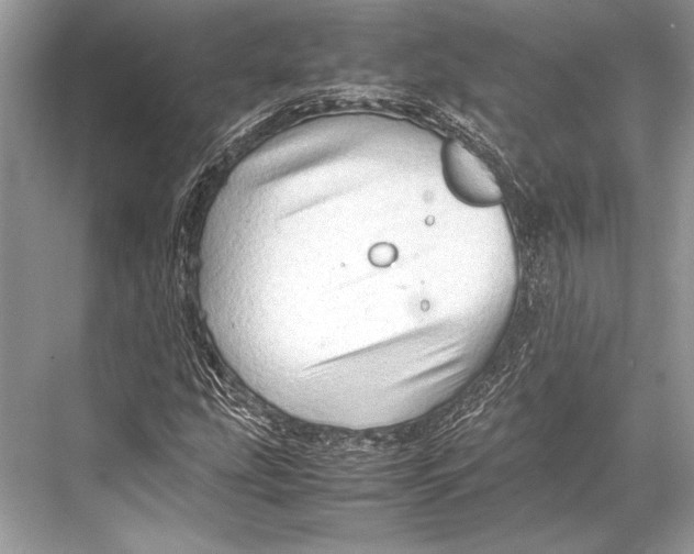 X0000067831207200605041614