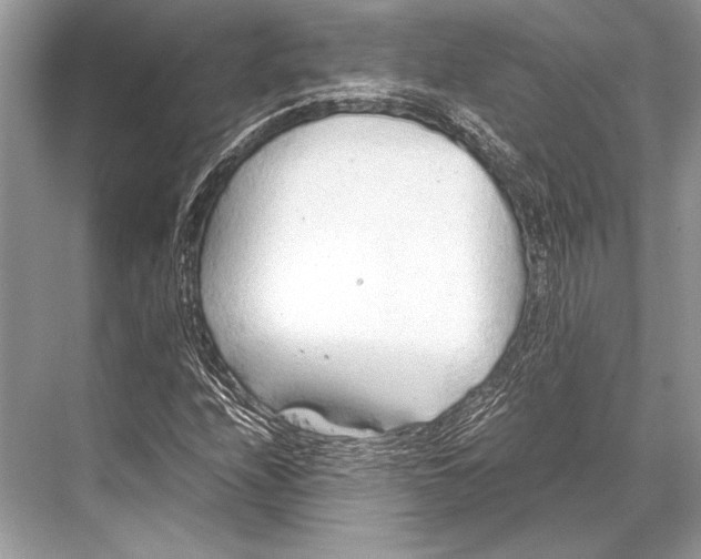 X0000067831208200605041615