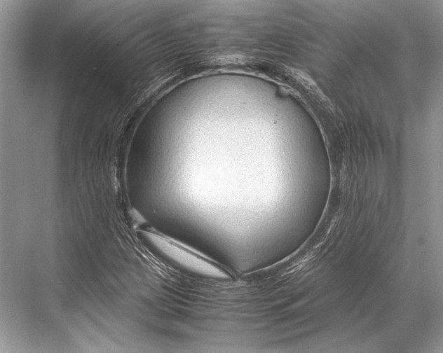 X0000067831209200605041615