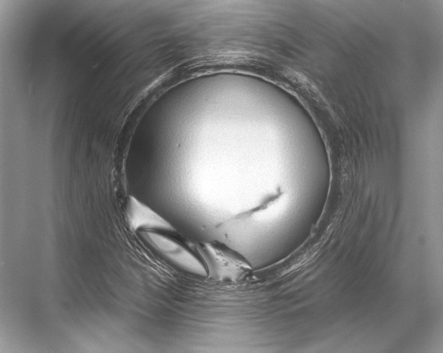 X0000067831210200605041615