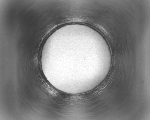 X0000067831212200605041615