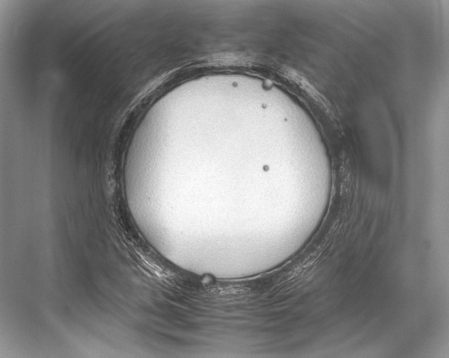 X0000067831213200605041615