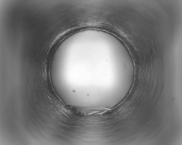 X0000067831214200605041615