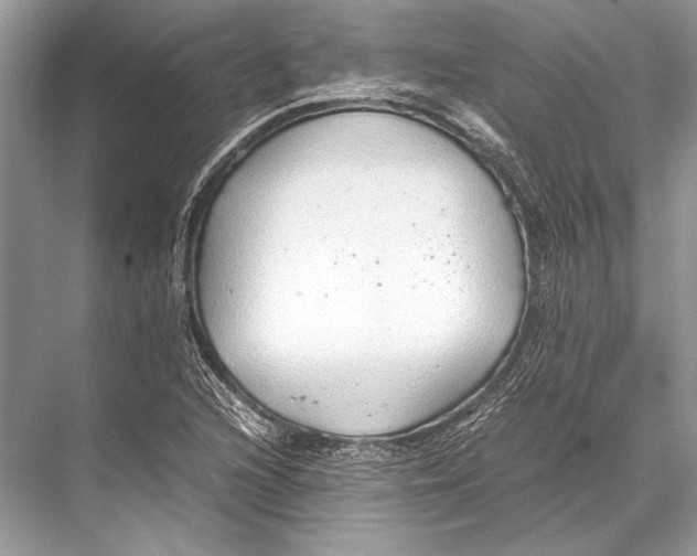 X0000067831216200605041615