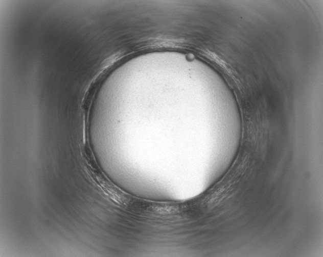 X0000067831219200605041615