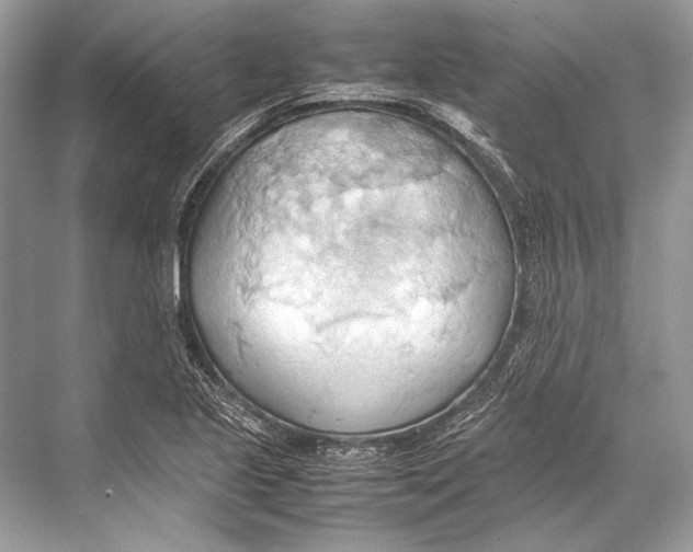 X0000067831221200605041615