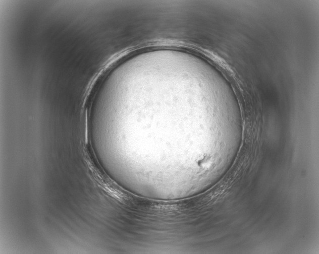 X0000067831223200605041615