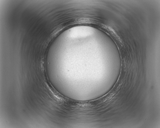 X0000067831225200605041615